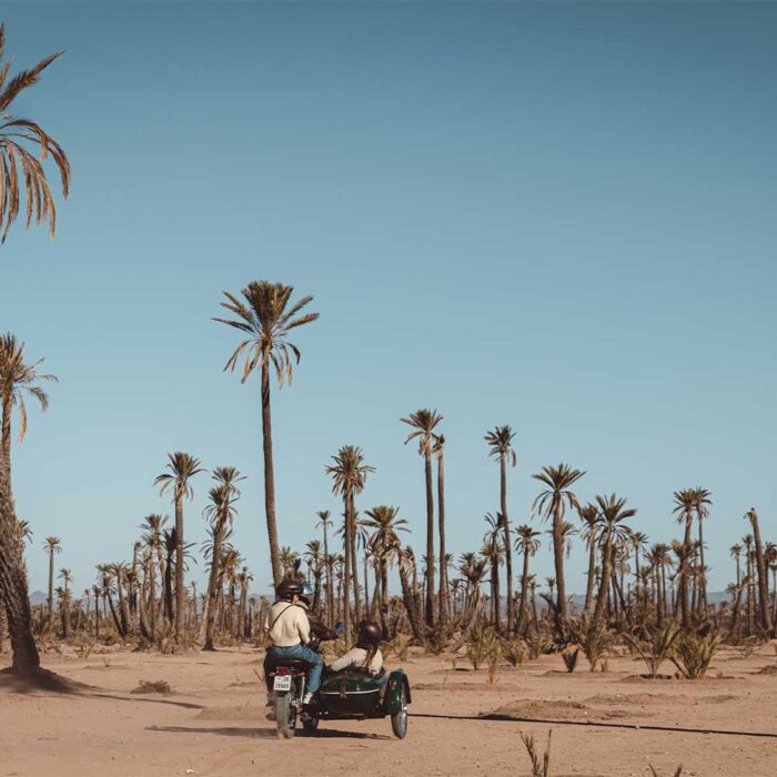 AVENTURE EN SIDECAR
