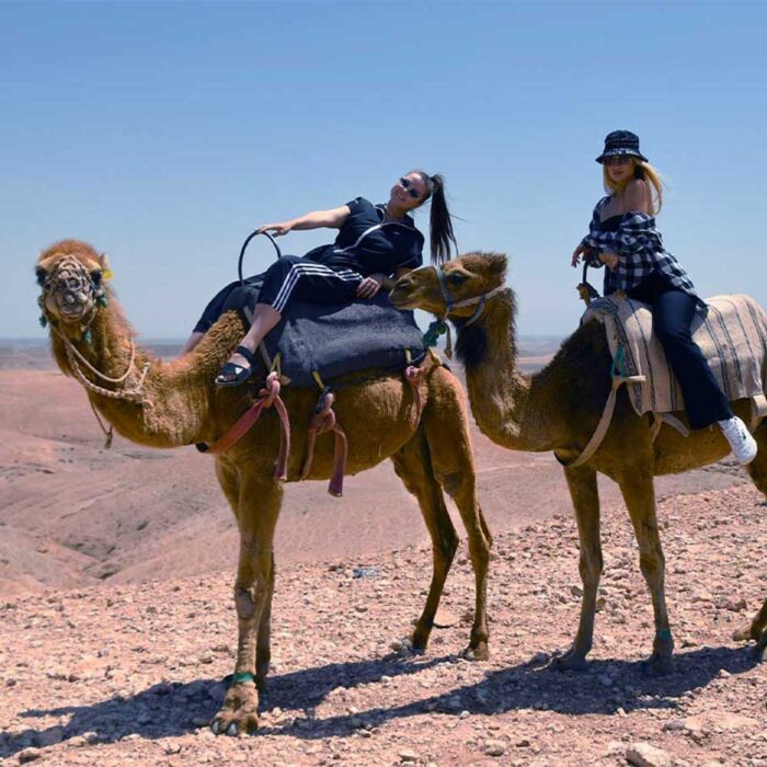 CAMEL AGAFAY
