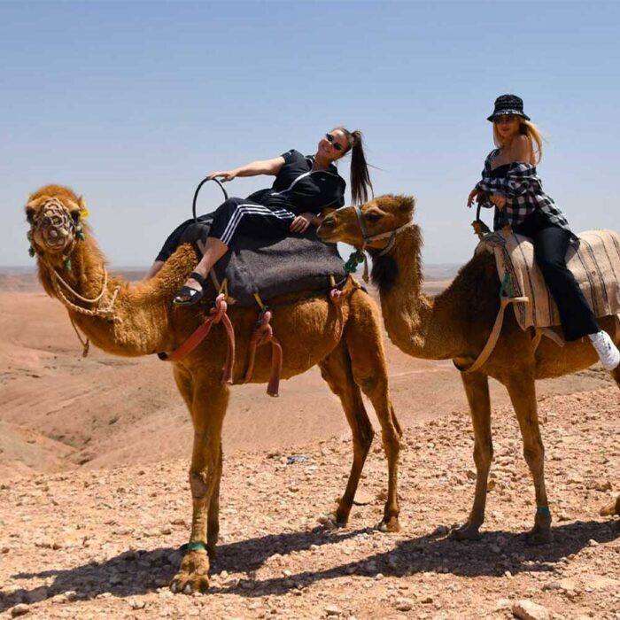 CAMEL + DINER + LE BEDOUIN