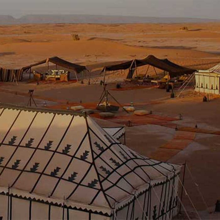 CAMEL + DINER + SPECTACLE MARRAKECH DESERT CAMP