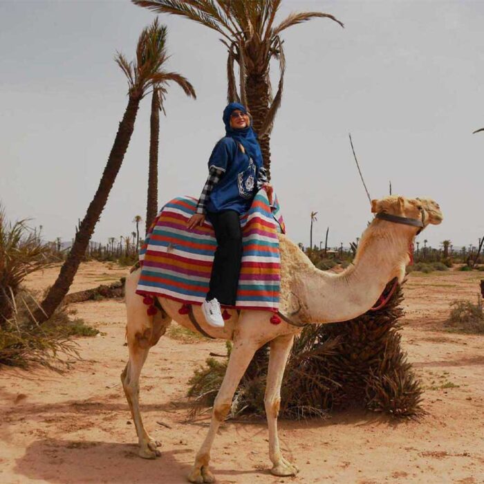 CAMEL PALMERAIE